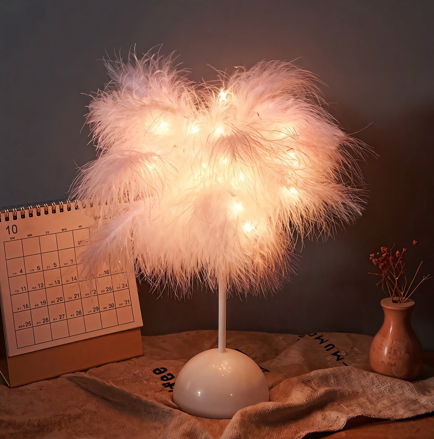 Feather Nordic Desk Lamp