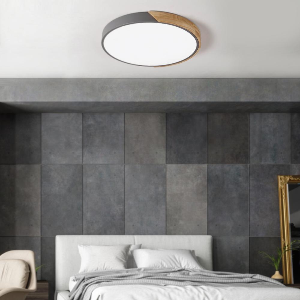 Flush Mount Ceiling Light 2
