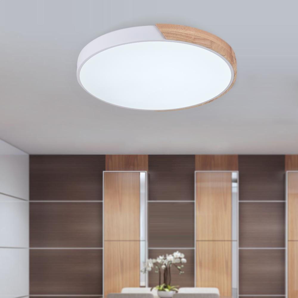 Flush Mount Ceiling Light 1