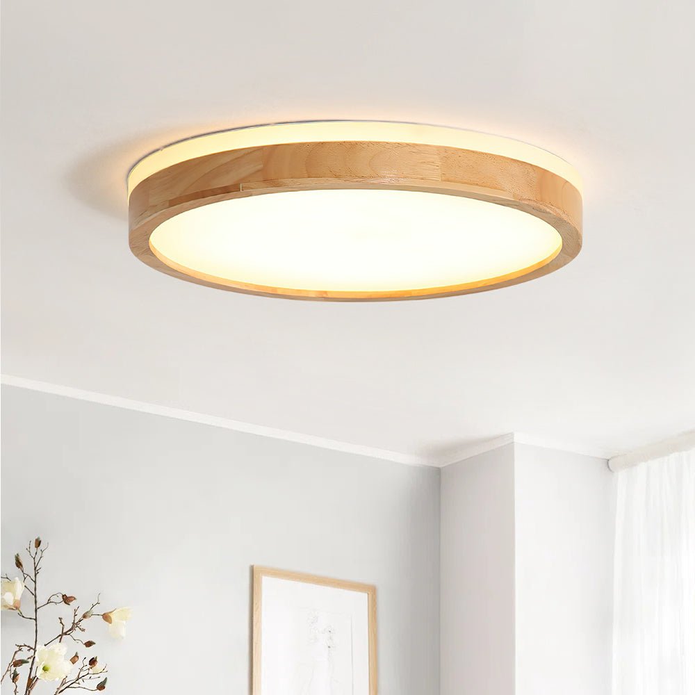 Round LED Flush Mount Ceiling Light 1