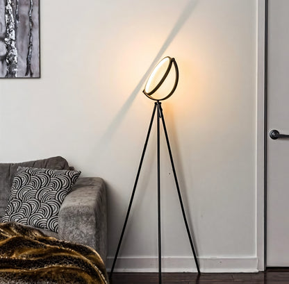 Supplementary Aluminum Floor Lamp