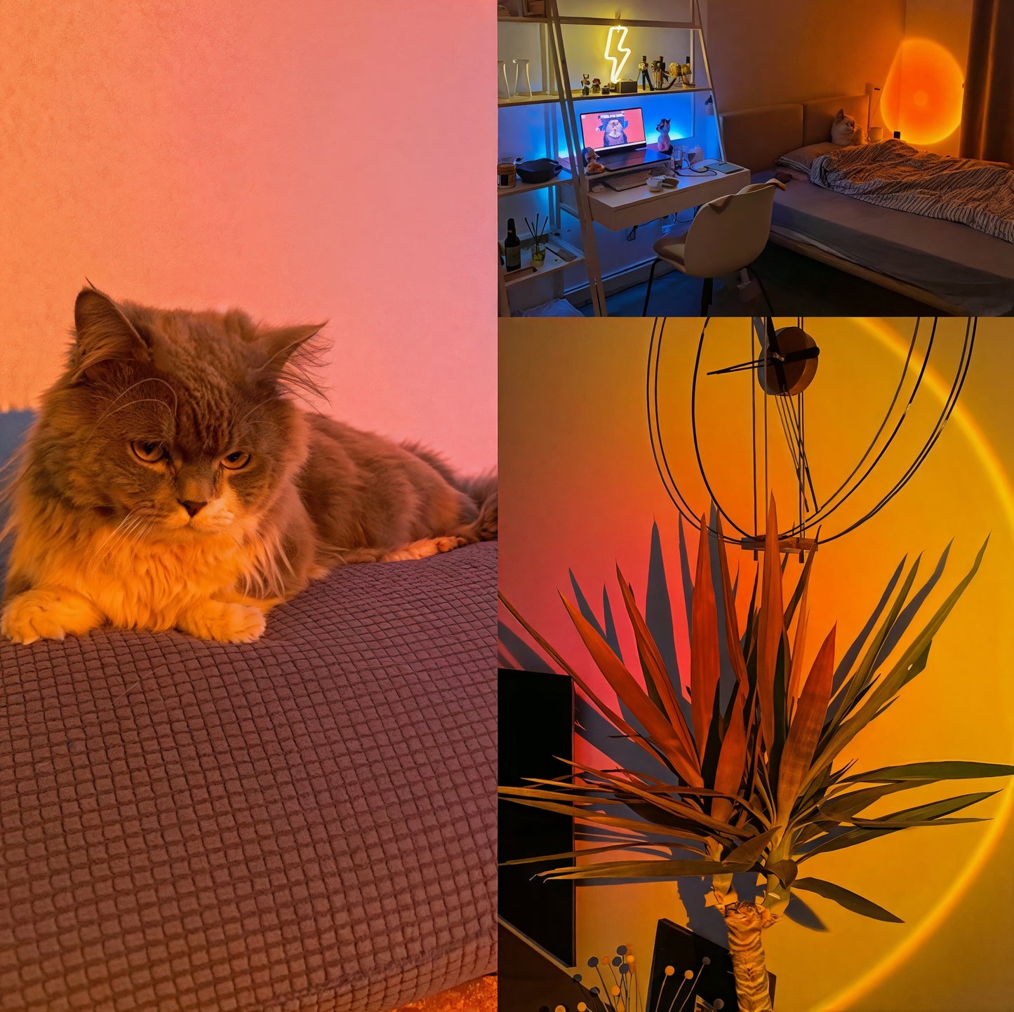Sunset Lamp
