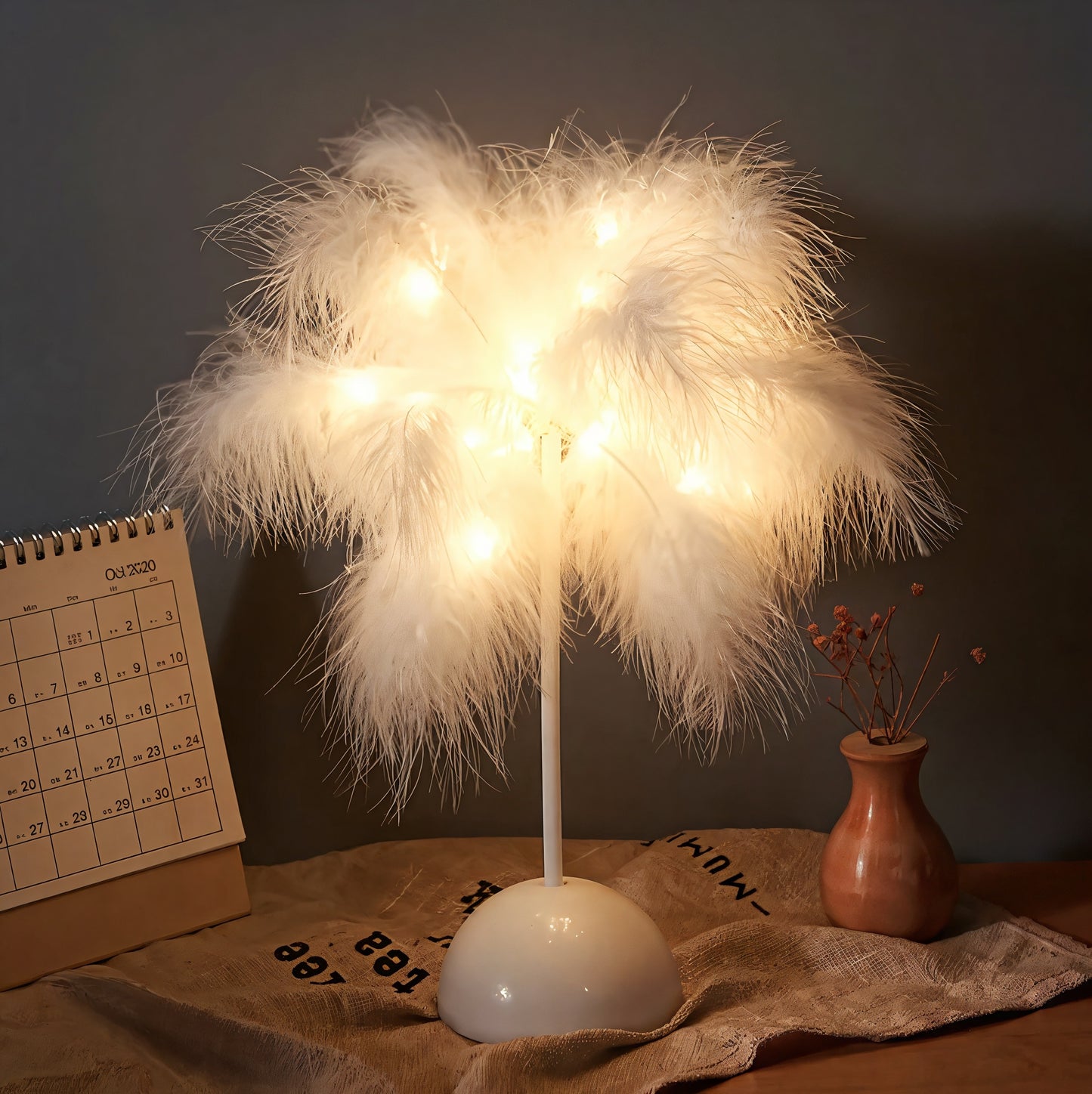 Feather Nordic Desk Lamp