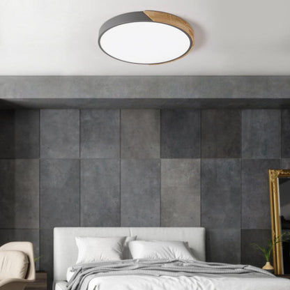Flush Mount Ceiling Light 2