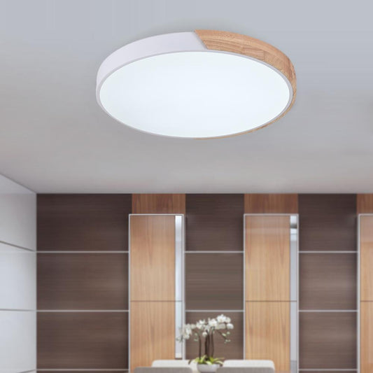 Flush Mount Ceiling Light 1