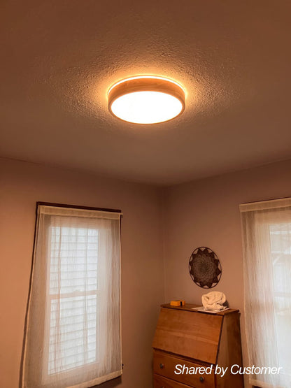 Round LED Flush Mount Ceiling Light 5